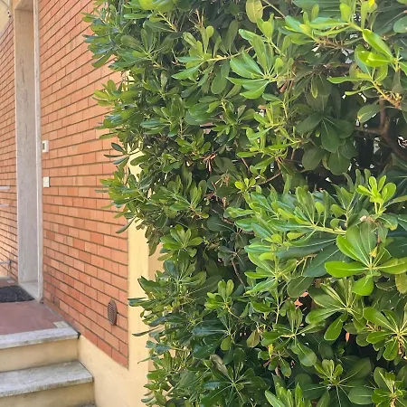 Pratoranieri - Montecristo 10 * Follonica